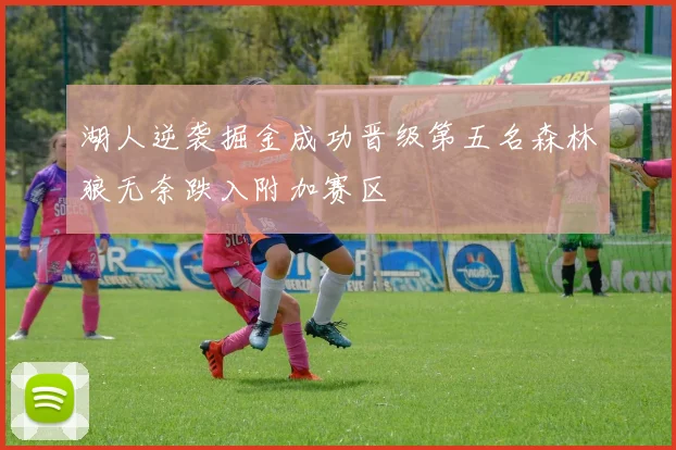 湖人逆袭掘金成功晋级第五名森林狼无奈跌入附加赛区